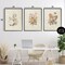 Stupell Industries Neutral Bouquet Studies 3pc Framed Giclee Set, design by Dan Meneely